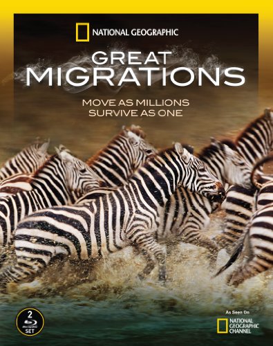 2093 - Great Migrations